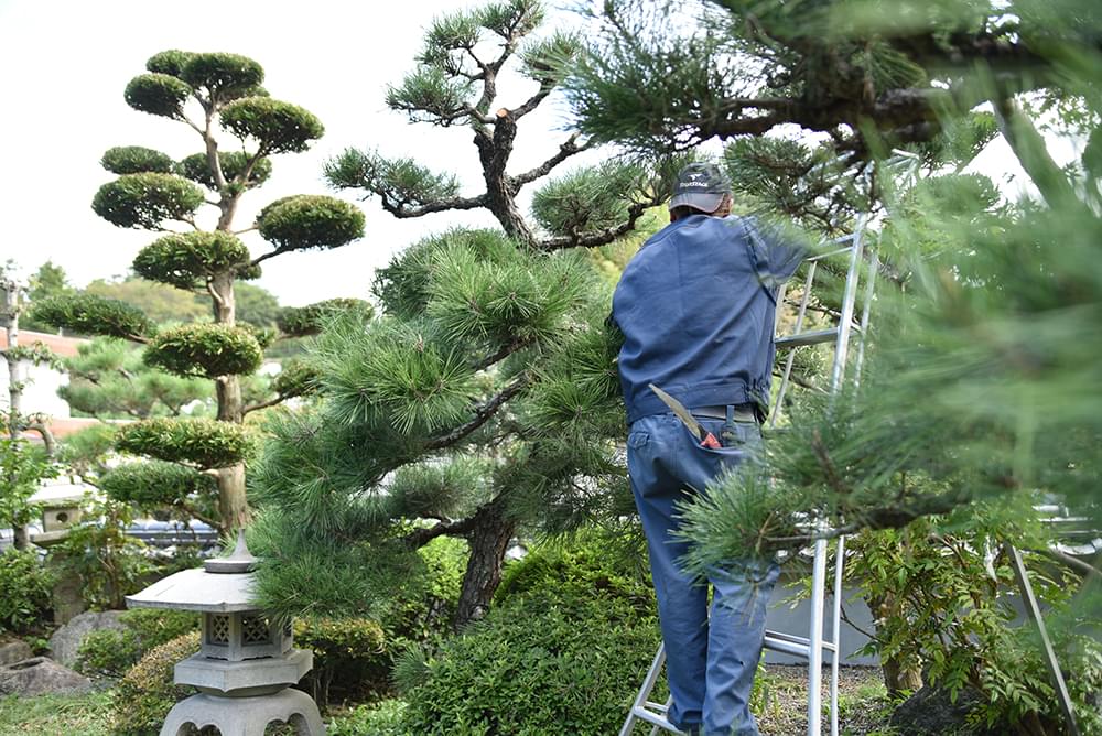 造園工募集